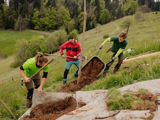 Baumpflanzung Winterlinde 10 Jahre Baumwelt AG in Speicher AR