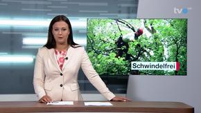 Der Baumdoktor Res Ramsauer aus Herisau