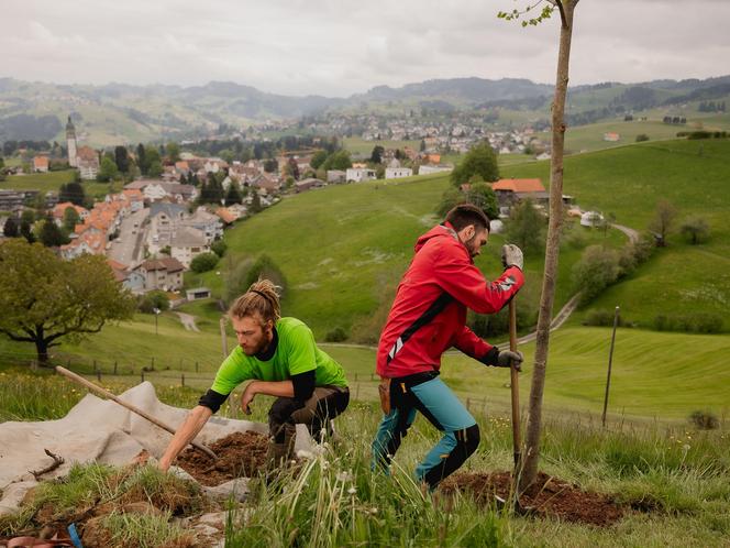10 Jahre Baumwelt AG – Eine Linde fürs Appenzellerland
